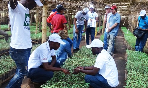 Planted Forest Grant Scheme (PFGS) project